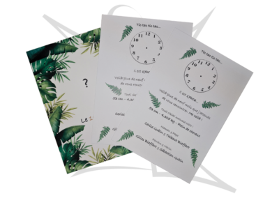 Impression de Fair-Part sans pliure recto-verso réalisé par Kimva (impression et lettrage) pour une naissance